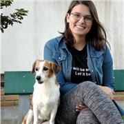 Aulas online de língua inglesa para crianças, jovens e adultos